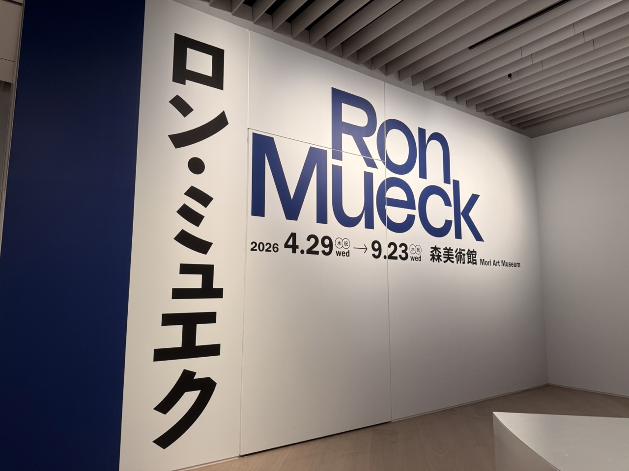 森美術館で開催中のロン・ミュエク展