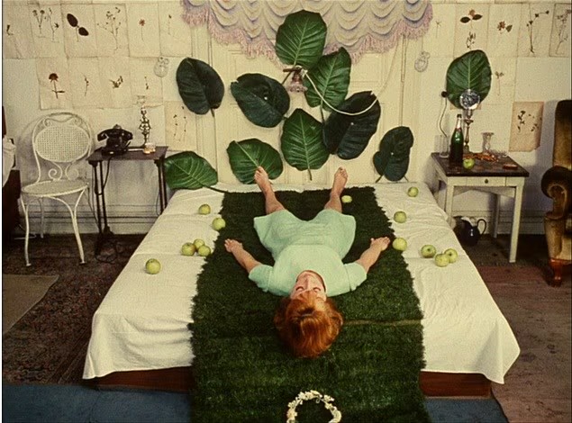 Sedmikrasky [マーガレット]