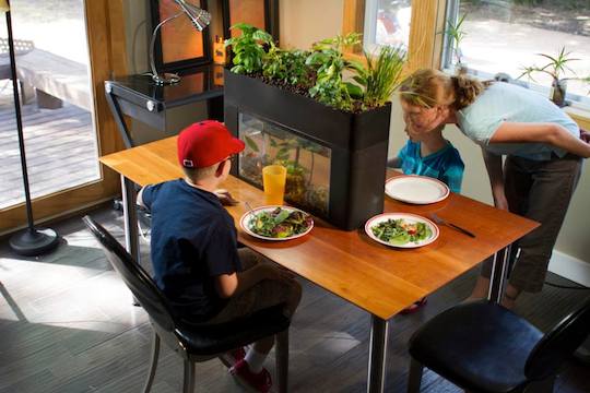 10686851_825505010803169_5917777860226489700_n