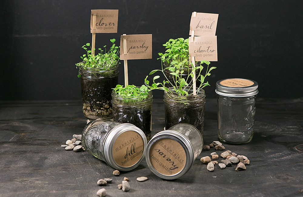 Mason-Herb-Dr-Oz-Lifestyle-1