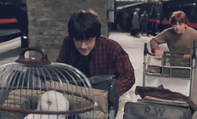 tumblr_mtw569RYu01sbkd8lo2_r1_400