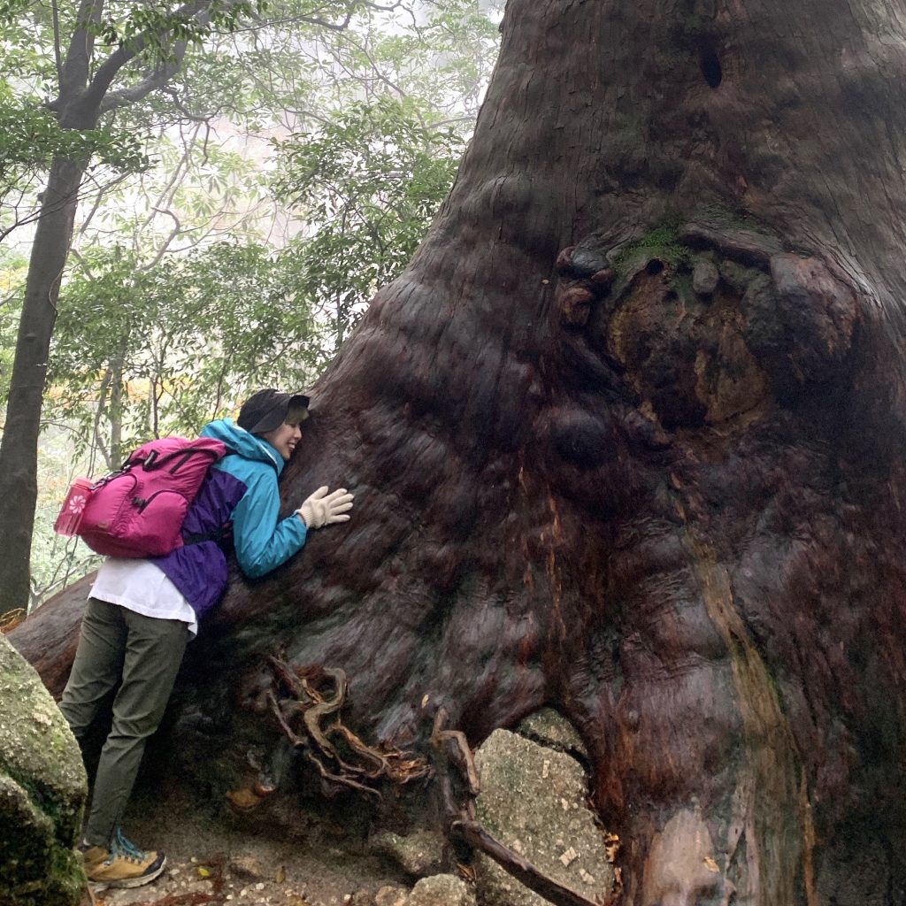 樹齢7200年ともいわれる #縄文杉 を拝みに、往復10時間超えのトレッキングをしたら想像超えの感動が待っていた。 #屋久島