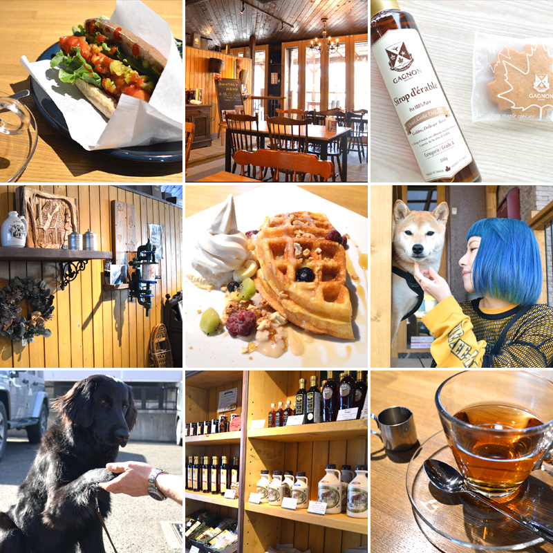 かわいい看板犬が迎えてくれるメープルシロップ専門カフェ #北海道ローカル
