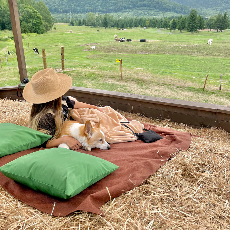 2021年を振り返って。愛犬と過ごした日々 #大切なもの