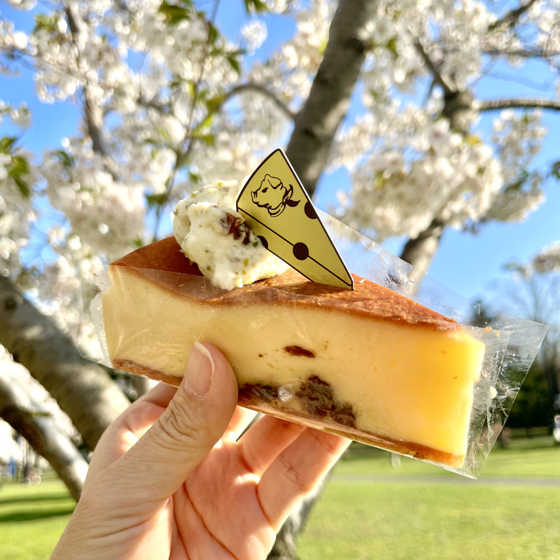 濃厚なチーズケーキを堪能したいなら。北海道産にこだわったチーズケーキ専門店 #北海道 #札幌