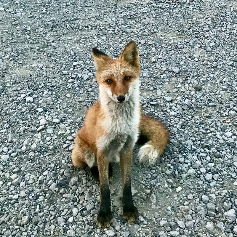 最近わたしが感じた北海道ローカルあるある #北海道