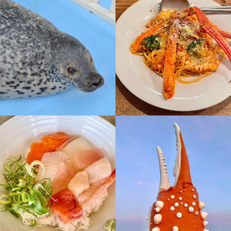 北海道【紋別】おすすめホテルとレストラン・推しアザラシに会いに行く旅