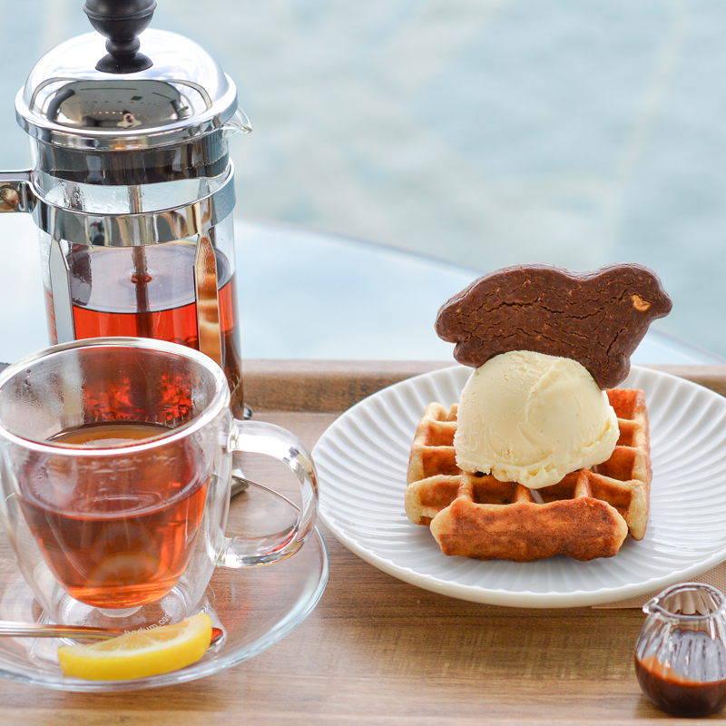 あざらしメニューがかわいい【紋別】オホーツク海が一望できる絶景カフェ