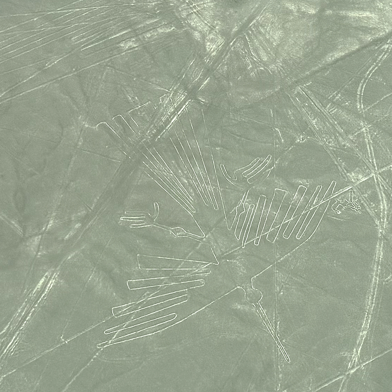 古代ロマン溢れる【ナスカの地上絵】を上空から! 夢のフライト体験