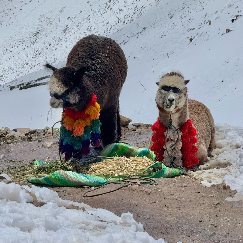 まさかの真っ白?! 【レインボーマウンテン】から考える地球環境とペルー旅