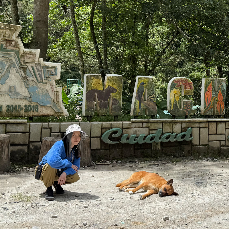 実は【マチュピチュ村】はワンちゃん天国!? 可愛らしい出会いと犬たちを守るルール