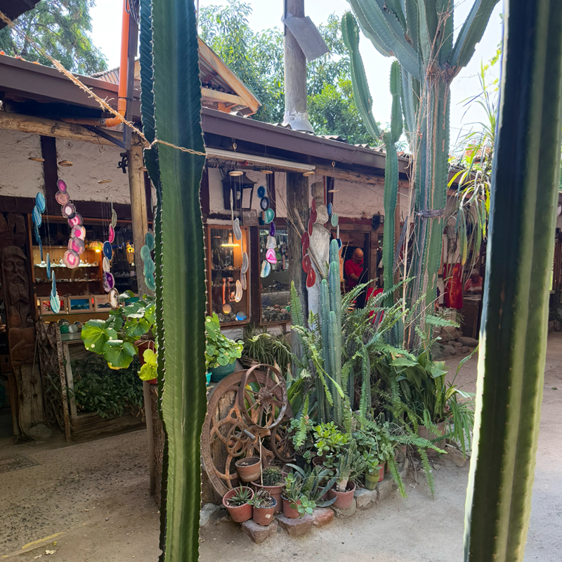 チリ【サンティアゴ】でゆったりお土産探し。都会の中にある癒しのロス・ドミニコス民芸品村