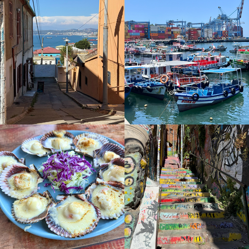 【チリ】世界遺産のアートな港町【バルパライソ】でスケートボードと絶品海産物を楽しむ