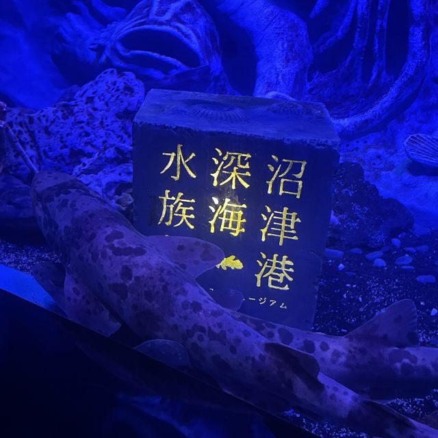 【静岡・沼津】日本で唯一の深海水族館！