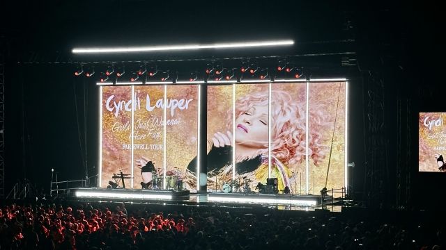 【永遠のポップアイコン】シンディ・ローパー最後の来日公演