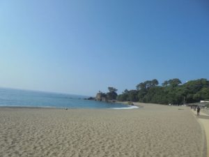 【高知県】旬の味覚 メジカの新子を求めて