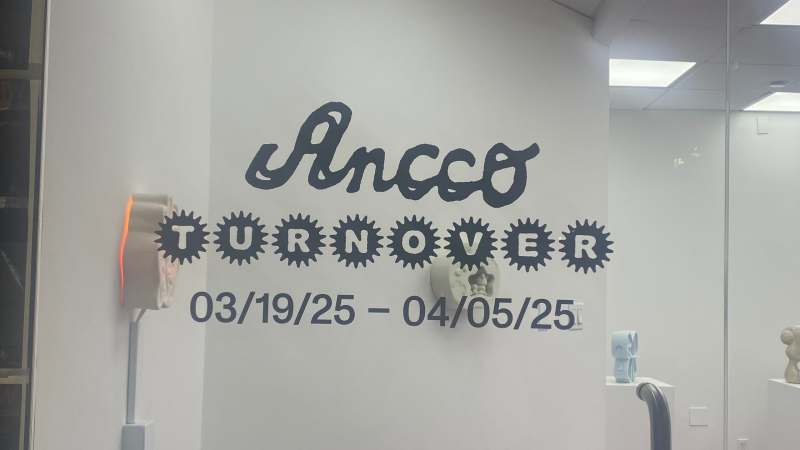 ドリームコアなアーティストAnccoさんの展示に行ってきた୨୧