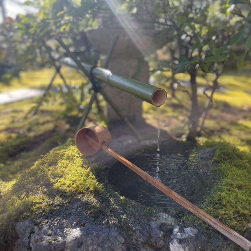 【京都文化】お茶の世界は奥が深い🍵✿.*･ #北野天満宮 #月釜 #茶道