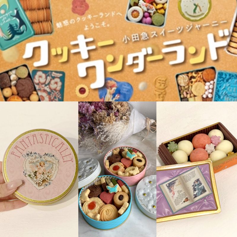 【New】可愛い新商品＆クッキーワンダーランドに出店します♡ #クッキー缶 #小田急百貨店