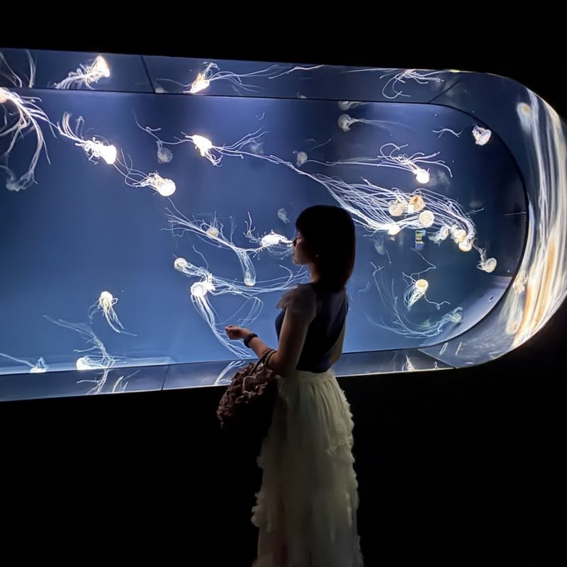 【サンシャイン水族館】水族館の魅力を再発見❕