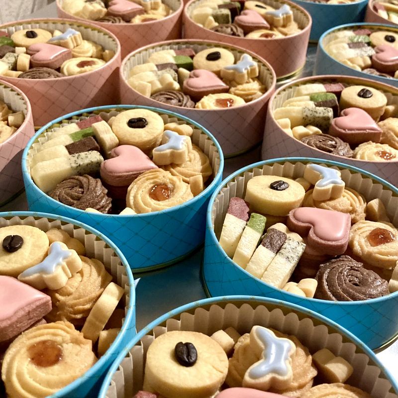 【papillon】Cookie Park🍪