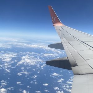 【韓国】8月の記録！〜限界韓国留学生ft.大学院に行っても限界だった〜