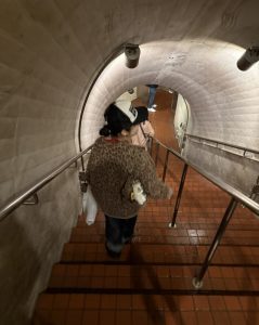 【韓国留学】帰国子女？海外大生？大学院生？としての就活を終えました⭐️ #26卒 #正規留学