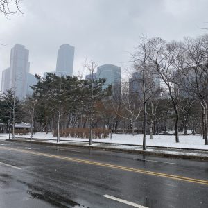 【韓国留学】海外大に通う大学院生としての就活を終えて、tips大公開⭐️vol.1  #26卒 #正規留学 #27卒 #就活情報