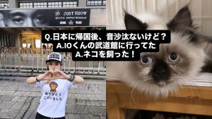 【韓国】日本に帰国後何してるの？？答えは、IOくんの武道館・ネコを飼っています。  #韓国留学 #韓国生活 #正規留学 #コンサート