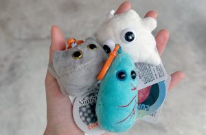 臓器・細胞・微生物のぬいぐるみ　ジャイアントマイクロブス　#Giant Microbes