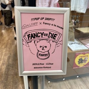 チャーム探しの旅  ₊˚⊹ᡣ