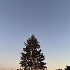 ‧ ₊୨୧˚₊ ‧ X’mas ‧ ₊୨୧˚₊ ‧