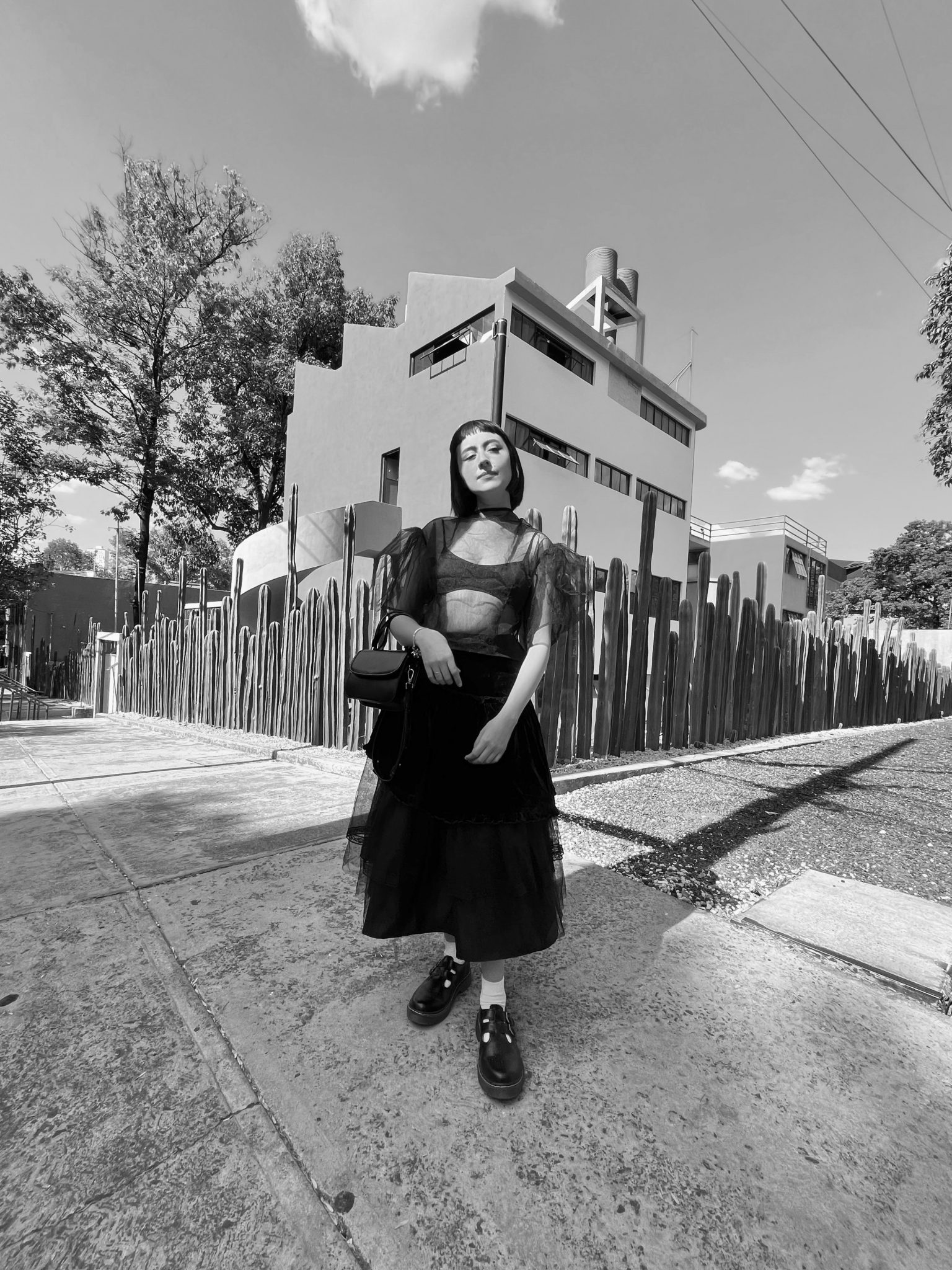 私の誕生日 15|06 ♡ ·˚