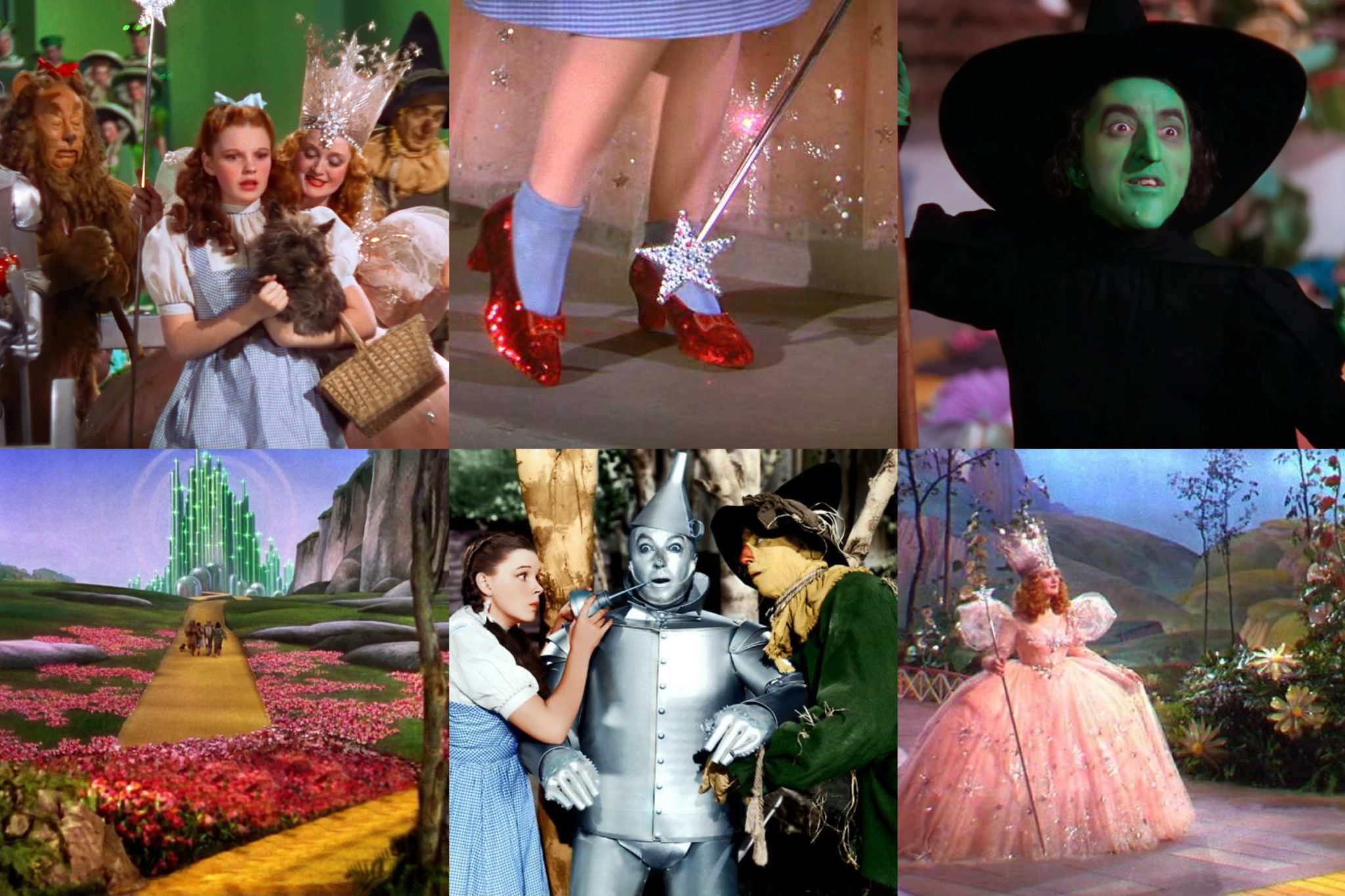 虹の彼方に⋆₊˚the Wizard of Oz