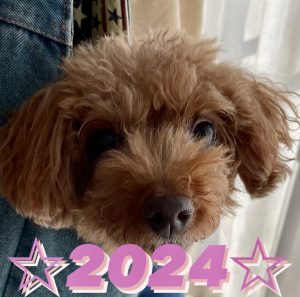 2024年! 私の小さな目標たち⭐︎