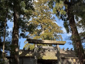 伊勢神宮にお参りに行ってきた！