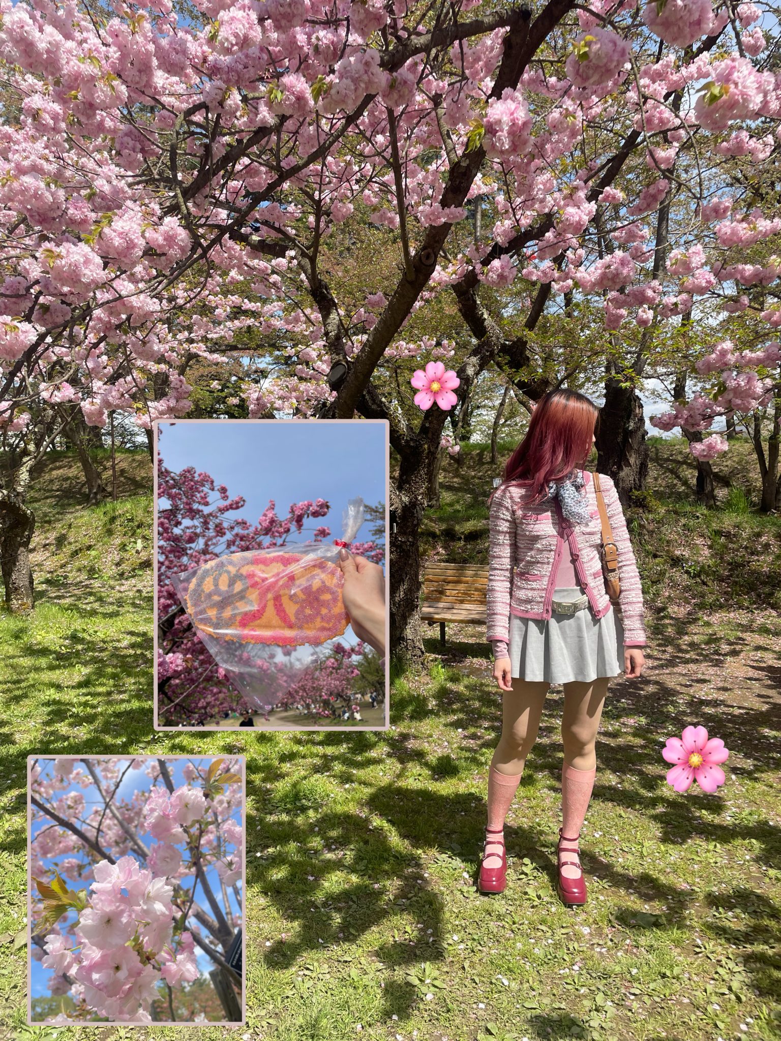 #弘前さくらまつり に行って来ました✽.｡.:*  #青森 #弘前