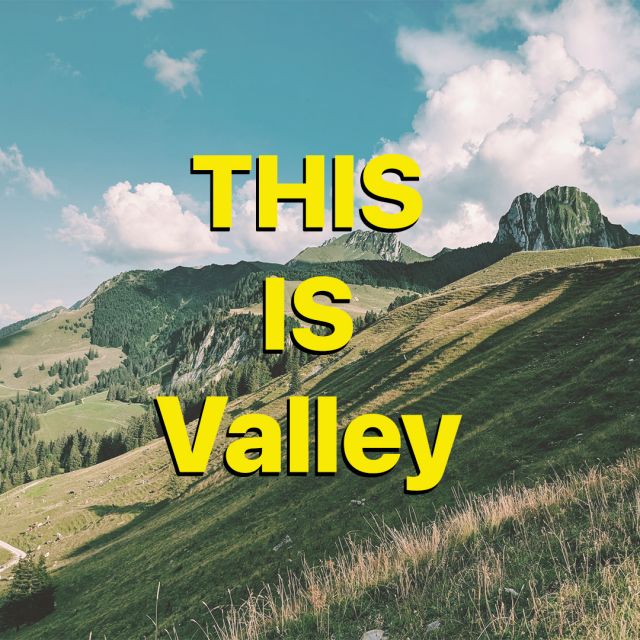 カナダのオルタナバンド Valleyは要チェックです