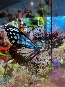 大好きな蜷川実花展·.༄࿔₊˚✩‧₊˚