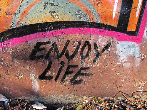 enjoy-life
