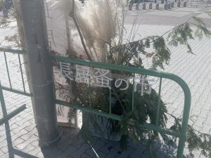 大阪・長居 蚤の市 #長居公園