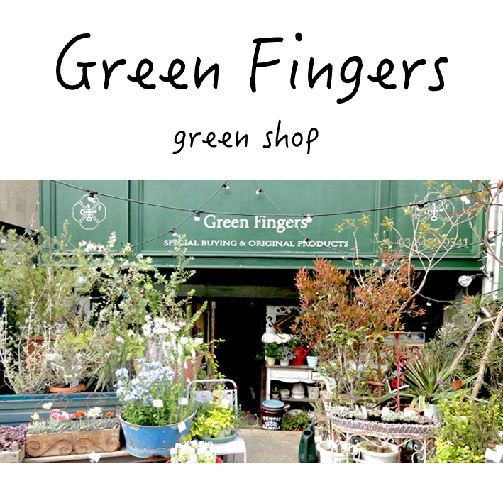 おしゃれなグリーンショップ、green fingers💗