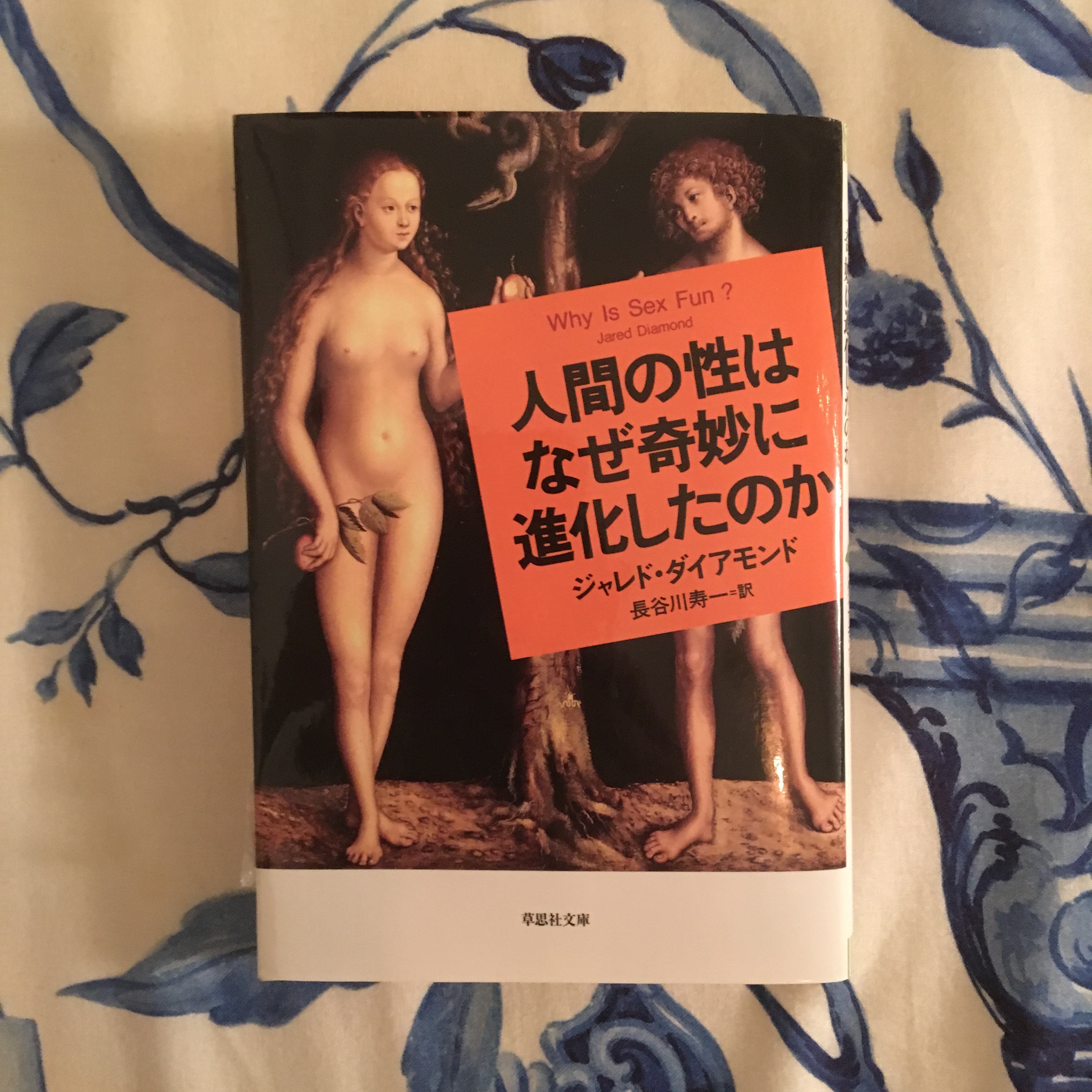 性について読むVol.5-人間の性はなぜ奇妙に進化したのか-