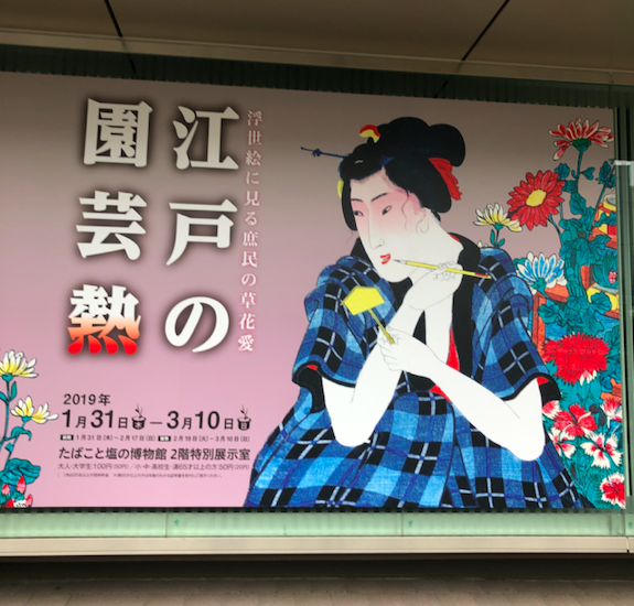 江戸の園芸熱展　３月10日まで！