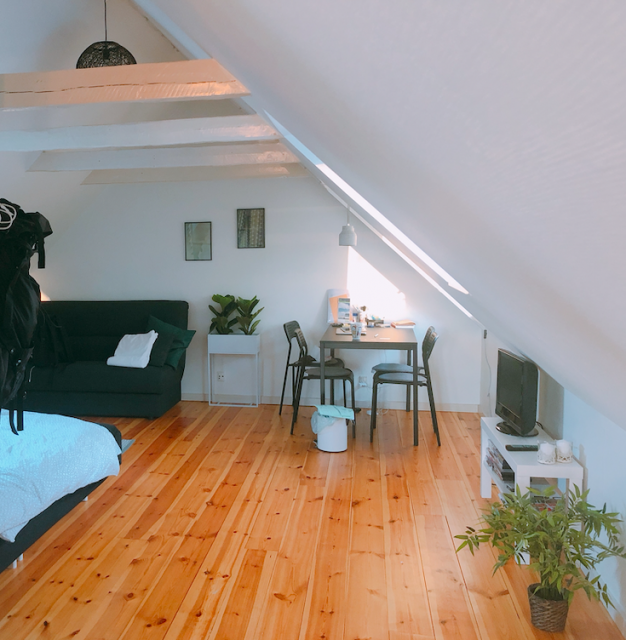 #Airbnb で#デンマーク　#オーデンセ  に１ヶ月滞在してみた。