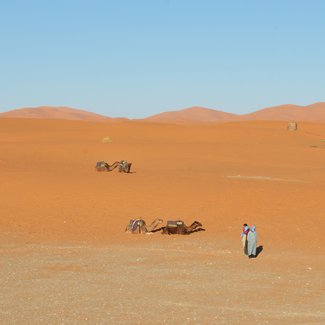 世界最大の砂漠 サハラ砂漠 オリオン座と一生忘れられない夜 Morocco アフリカ サハラ砂漠 メルズーガ 放浪 Nylonブログ ファッション ビューティ カルチャー情報