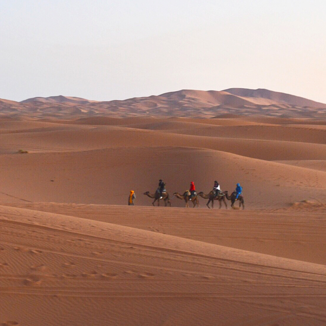 次の旅先は砂漠にしてみない?悩みを吹き飛ばし心を解放してくれる砂漠の旅。#デトックス旅