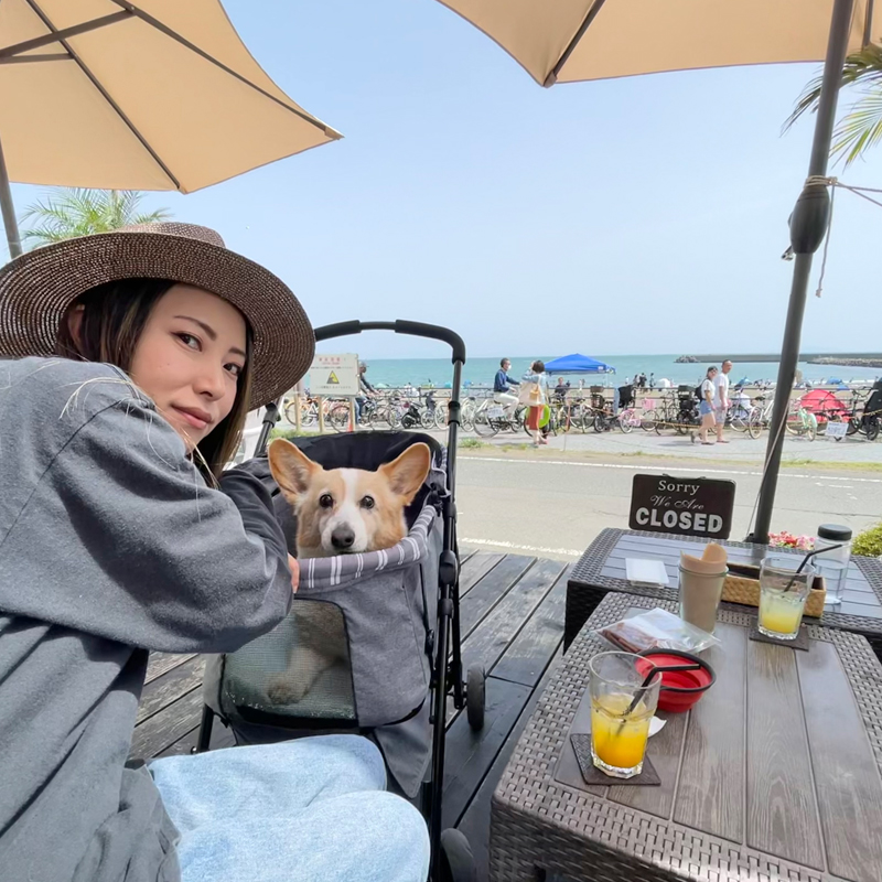 愛犬と一緒に入れるビーチ沿いカフェがたくさん!愛犬と一緒に湘南を旅するなら茅ヶ崎がおすすめ #湘南