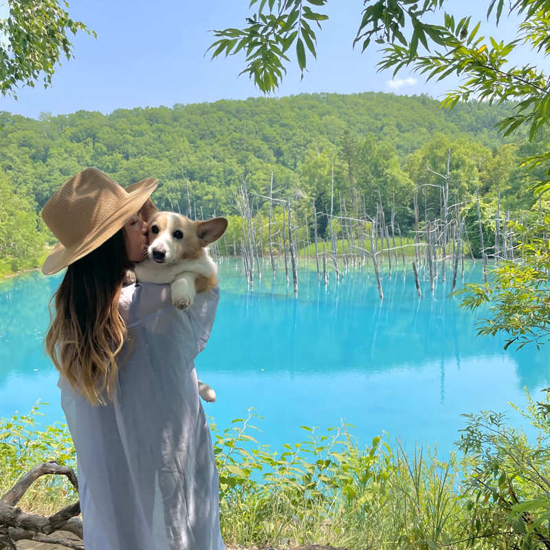 愛犬と楽しむ北海道の青い絶景 #青い池 #美瑛 #北海道