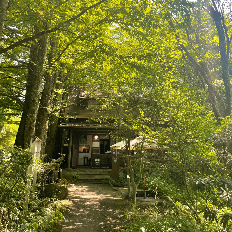 自然の力を改めて実感した軽井沢滞在記 #娯楽を人に求めずして自然に求めよ